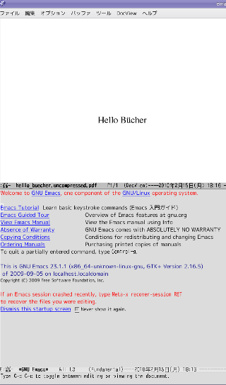 preview of the hello_buecher.uncompressed.pdf by docview in Emacs